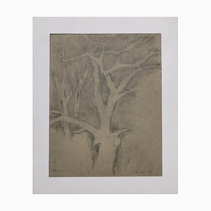 Tree of Life - Original Pencil Drawing - 1982 1982-ZCI-770125