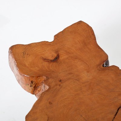 Tree Trunk Coffee Table-VT-990059