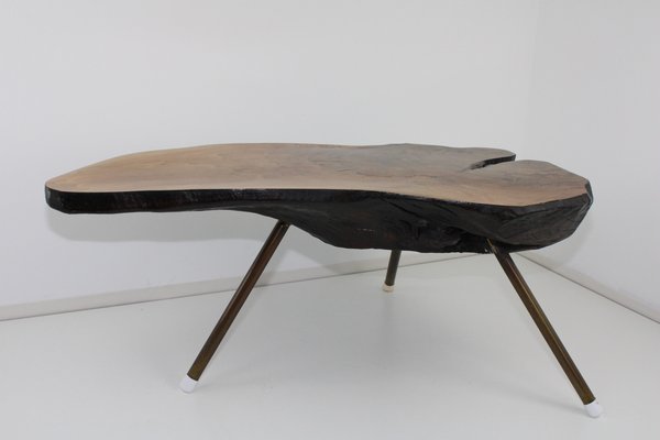 Tree Trunk Table by Carl Auböck, 1950s-ZWH-1311818