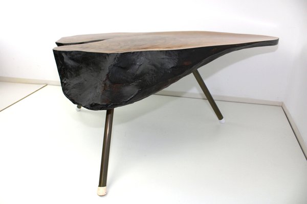 Tree Trunk Table by Carl Auböck, 1950s-ZWH-1311818