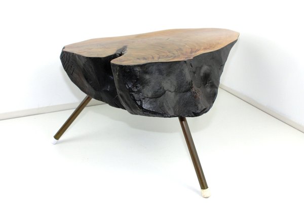 Tree Trunk Table by Carl Auböck, 1950s-ZWH-1311818