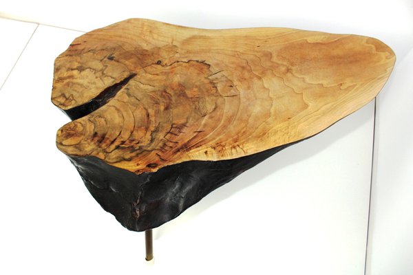 Tree Trunk Table by Carl Auböck, 1950s-ZWH-1311818