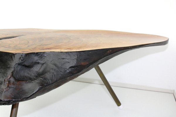 Tree Trunk Table by Carl Auböck, 1950s-ZWH-1311818