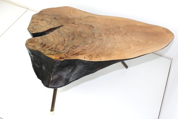 Tree Trunk Table by Carl Auböck, 1950s-ZWH-1311818