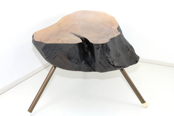 Tree Trunk Table by Carl Auböck, 1950s-ZWH-1311818