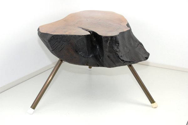 Tree Trunk Table by Carl Auböck, 1950s-ZWH-1311818