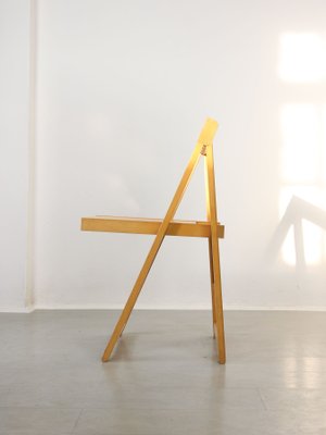 Trieste Folding Chair by Aldo Jacober-HGJ-1123818