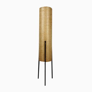 Tripod Floor Lamp in Fiberglass and Metal from Dame & Co., 1960s-SFQ-1802324