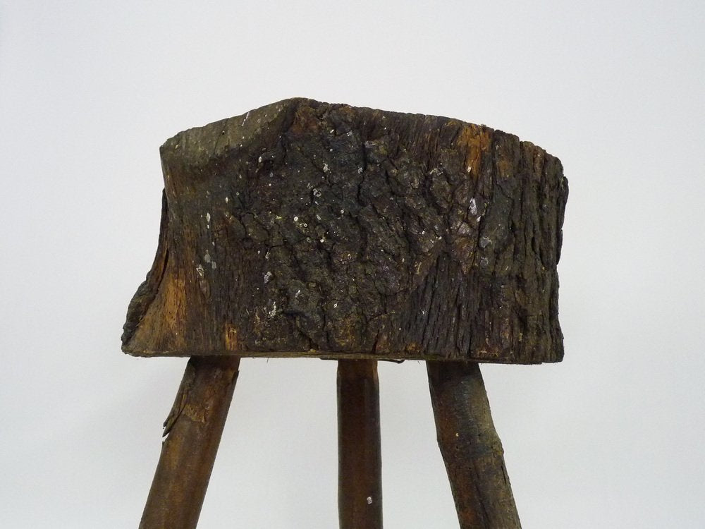 Tripod Milking Stool in Oak, France, 19th Century