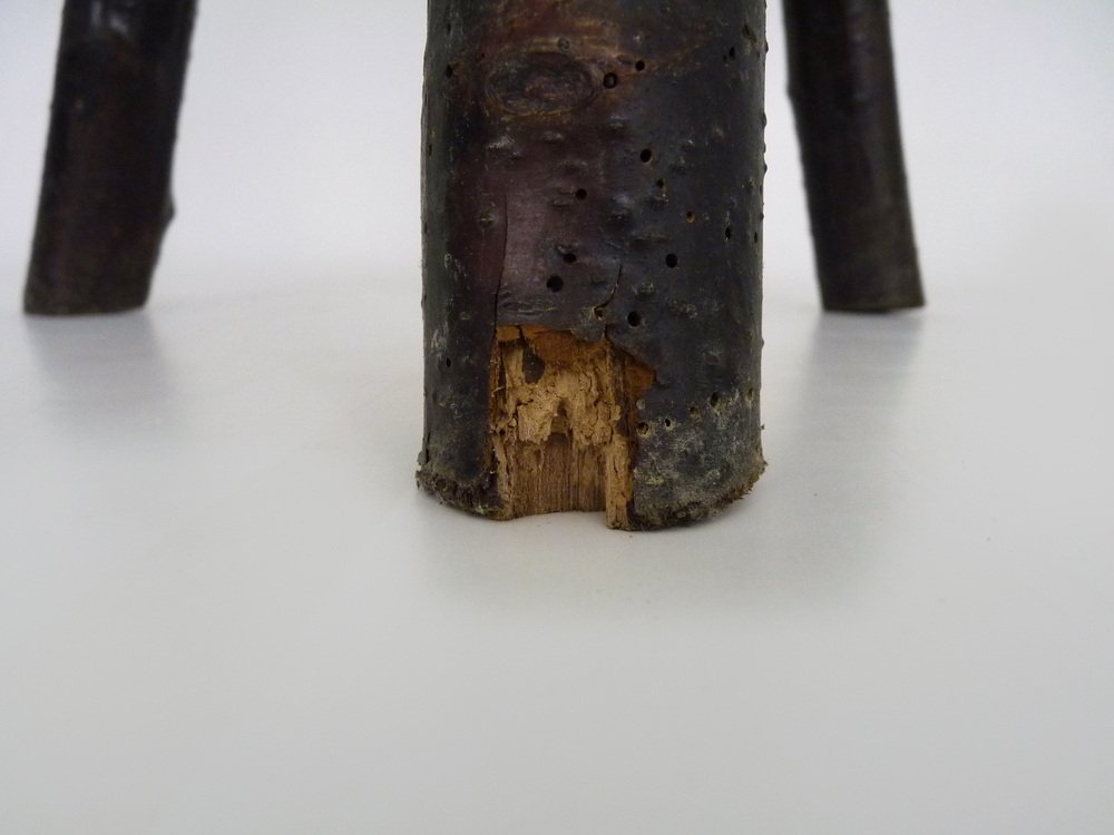 Tripod Milking Stool in Oak, France, 19th Century