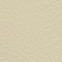 Trumpeter Swan (FE4023)