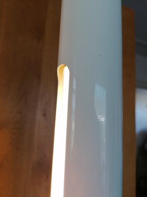 Tube Light Floor Lamp, 1970s-GO-1065568