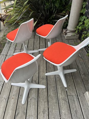 Tulip Chairs attributed to Maurice Burke, 1960s, Set of 4-RHZ-2027819