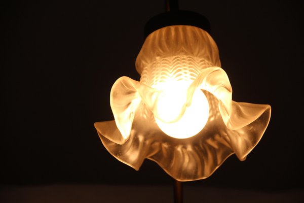 Tulip Glass Lampshade Accent Table Lamp, France, 1970s-NAD-1806404