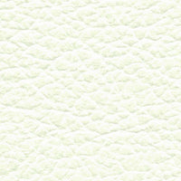 Tundra Swan (AL5026)