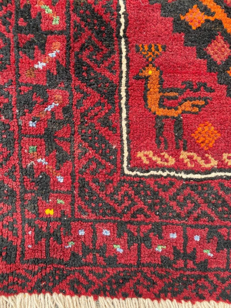 Turkmen Baluch Rug