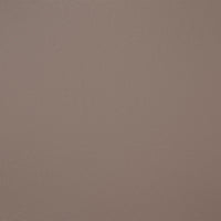 1161P