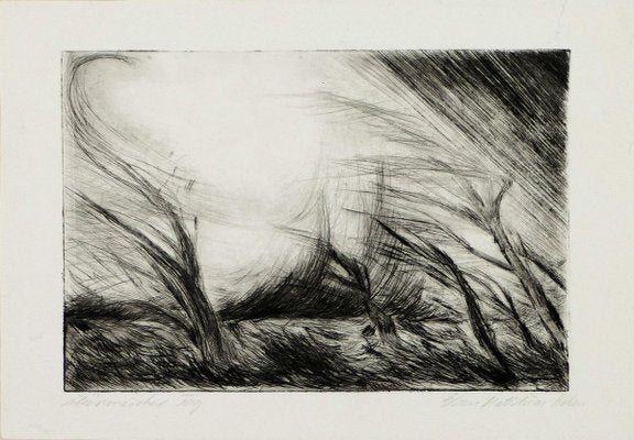 Two Lake Landscapes - Original Etching and Drypoint - 1970s 1970s-ZCI-762190