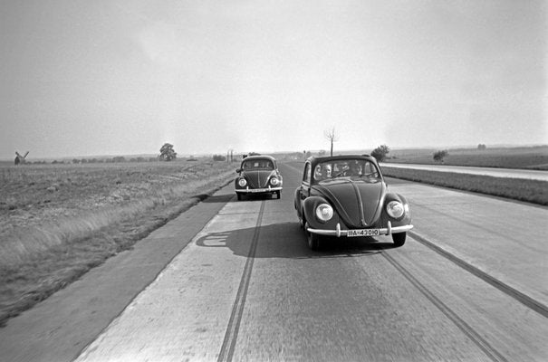 Two Models of the Volkswagen Beetle, Germany, 1938-DYV-1033804