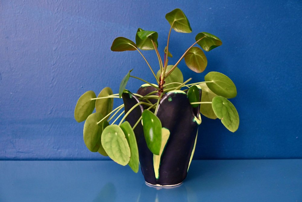 Two-Tone Free-Form Vase, France, 1950s