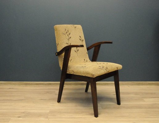 Type 300-123 Armchair by Mieczysław Puchała, 1950s-KDW-1150898