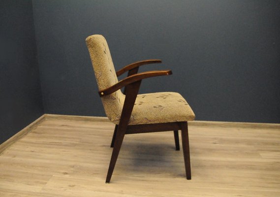 Type 300-123 Armchair by Mieczysław Puchała, 1950s-KDW-1150898