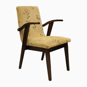 Type 300-123 Armchair by Mieczysław Puchała, 1950s-KDW-1150898