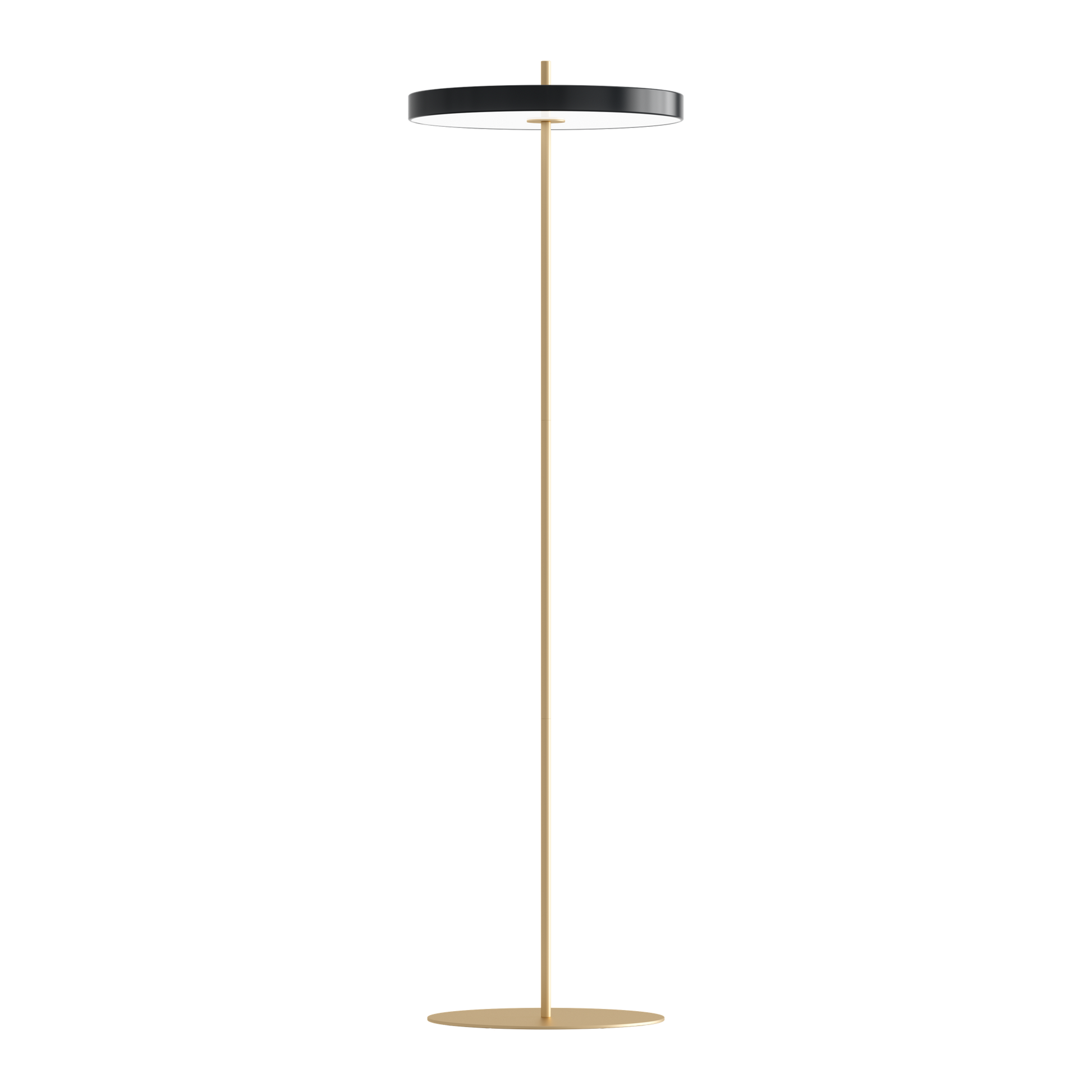 Asteria Floor Lamp by UMAGE #Black