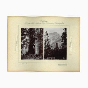 Unknown, Canada, Cascada Mountains, Photo, 1893 by Prince-ZCI-905035