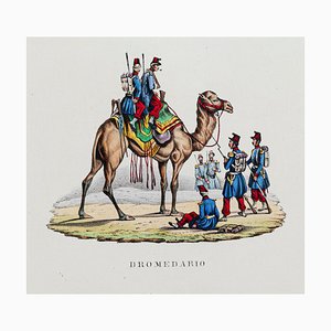 Unknown, Dromedary, Hand Colored Lithograph, 19th Century-ZCI-1760468