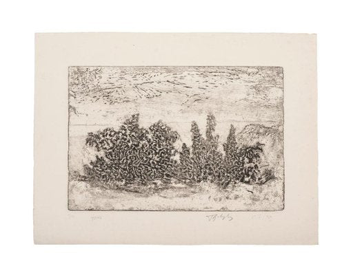 Unknown - Landscape - Original Etching on Paper - 1969-ZCI-834624