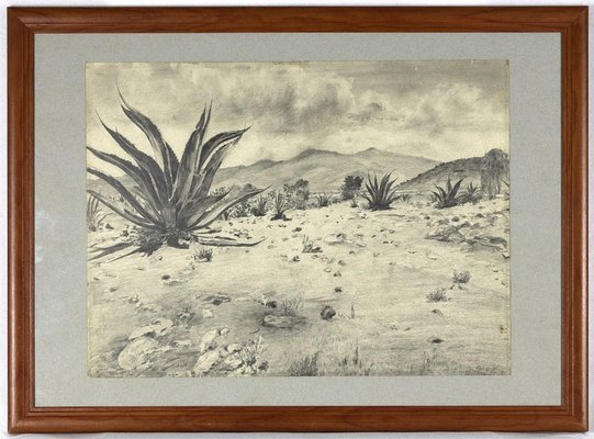 Unknown - Landscape with Agave - Original Drawing by Robert Block - 1970s-ZCI-871594