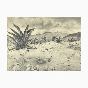 Unknown - Landscape with Agave - Original Drawing by Robert Block - 1970s-ZCI-871594