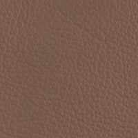 Antilope