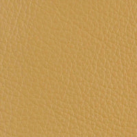 Parchment
