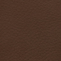 English Walnut