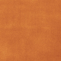 Raw Sienna