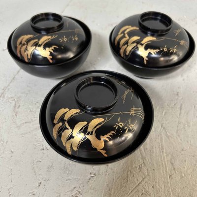 Urushi Maki-E Rice Bowls, Japan, 1910s, Set of 3-DWL-1698151