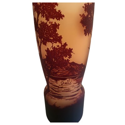 Vase by Emile Galle Cameo Jarron-TCS-1437963