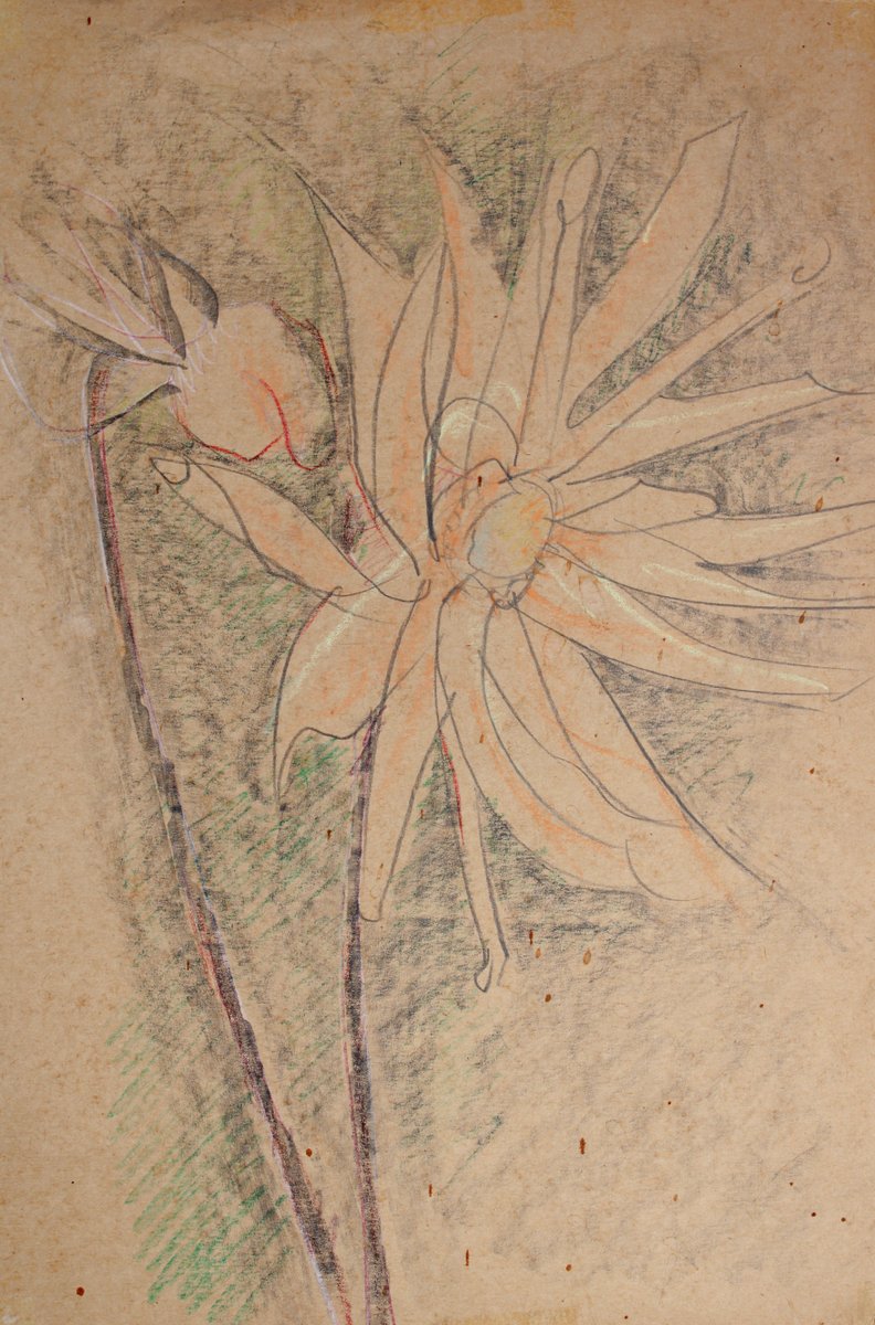 Victor Karnauh, Flower, 1990s, Pastel on Paper