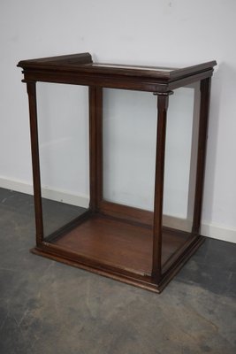 Victorian Mahogany Museum Display Cabinet-XO-1139192