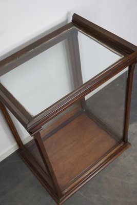 Victorian Mahogany Museum Display Cabinet-XO-1139192