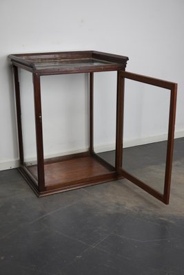 Victorian Mahogany Museum Display Cabinet-XO-1139192