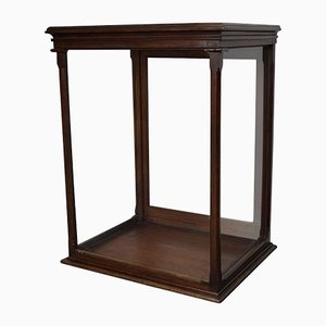 Victorian Mahogany Museum Display Cabinet-XO-1139192