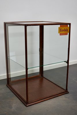 Victorian Mahogany Museum / Shop Display Cabinet, Late 19th Century-XO-1028634