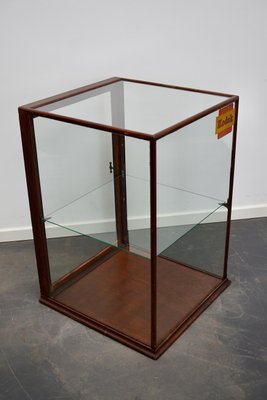 Victorian Mahogany Museum / Shop Display Cabinet, Late 19th Century-XO-1028634