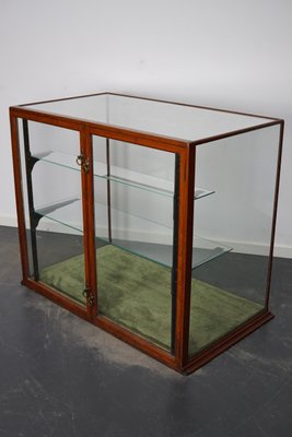 Victorian Mahogany Shop Display Cabinet Counter or Vitrine, Late 19th Century-XO-1151334