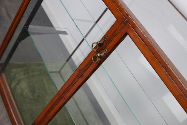 Victorian Mahogany Shop Display Cabinet Counter or Vitrine, Late 19th Century-XO-1151334