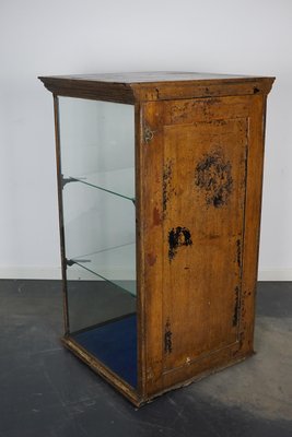 Victorian Painted Mahogany Shop Display Cabinet Vitrine, Late 19th Century-XO-1158541