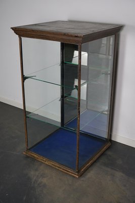 Victorian Painted Mahogany Shop Display Cabinet Vitrine, Late 19th Century-XO-1158541